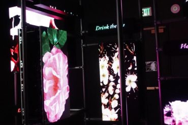 Art display of digital flowers