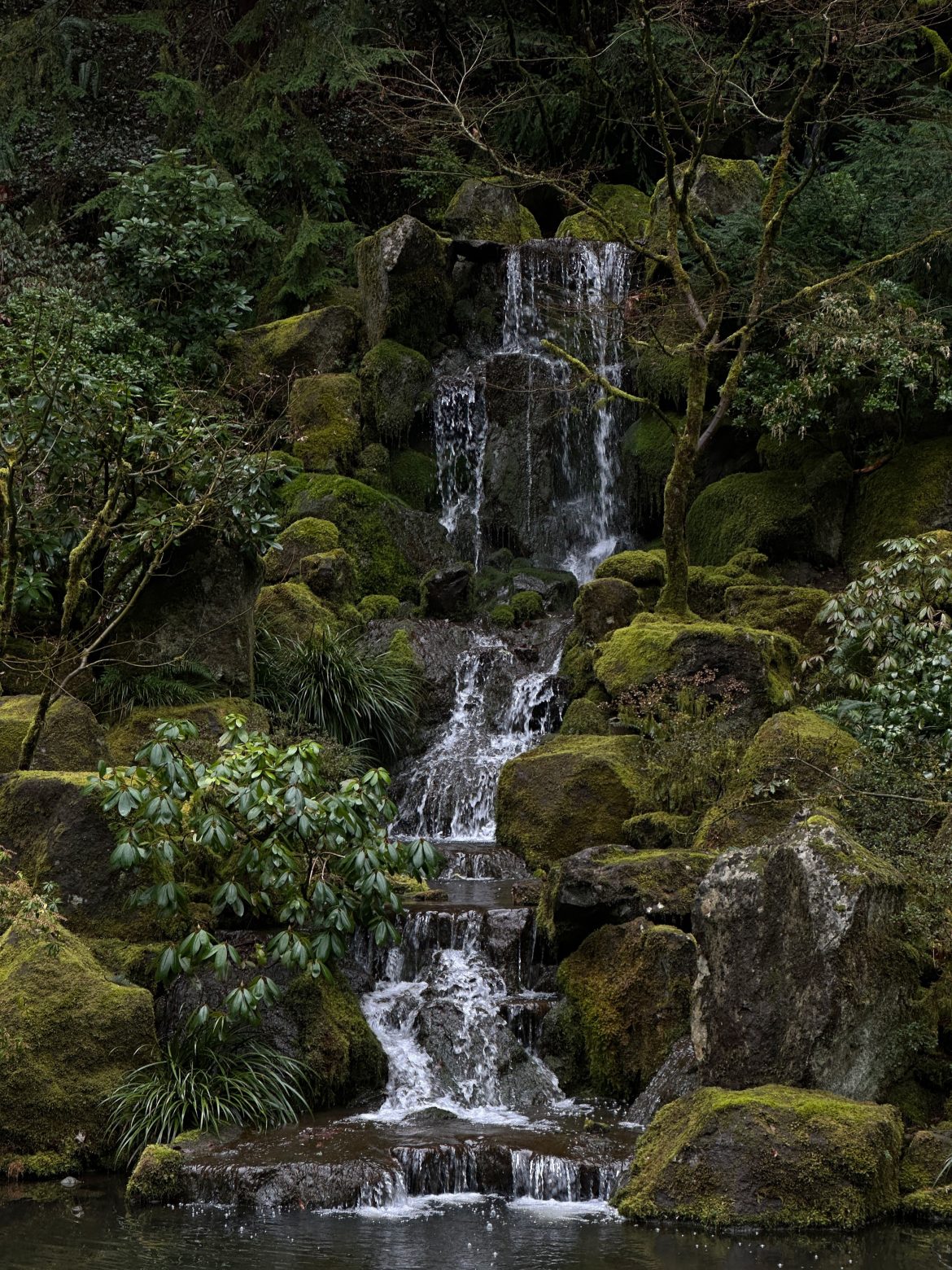 Waterfall at Japanese Gardens