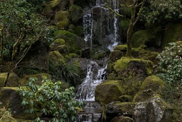 Waterfall at Japanese Gardens